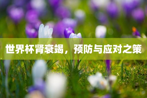 世界杯肾衰竭，预防与应对之策广西贺州市华昌新材料有限公司