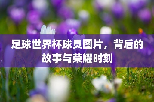 广西贺州市华昌新材料有限公司足球世界杯球员图片，背后的故事与荣耀时刻