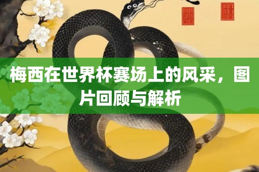 梅西在世界杯赛广西贺州市华昌新材料有限公司场上的风采，图片回顾与解析