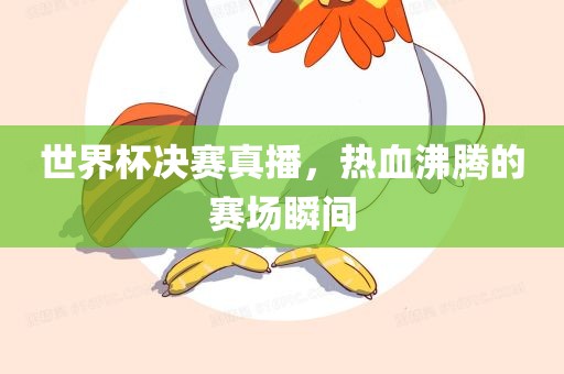 世界杯决赛真播，热血沸腾的赛场瞬间