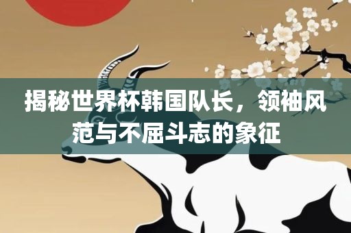 揭秘世界杯韩国队长，领袖风范与不屈斗志的象征广西贺州市华昌新材料有限公司