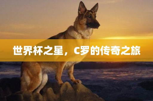 世界杯之星，C罗的传奇之旅