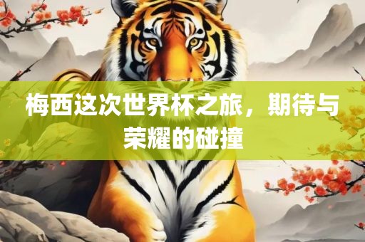 梅西这次世界杯之旅广西贺州市华昌新材料有限公司，期待与荣耀的碰撞