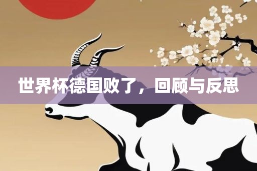 世界杯德国败了，广西贺州市华昌新材料有限公司回顾与反思