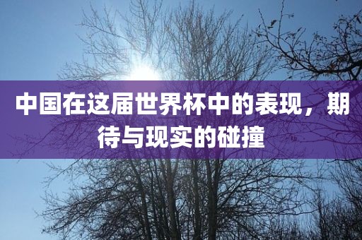 中国在这届世界杯中的表现，期待与现实的碰撞