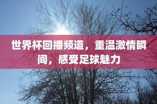 世界杯回播频道，重温激情瞬间，感受足球魅力
