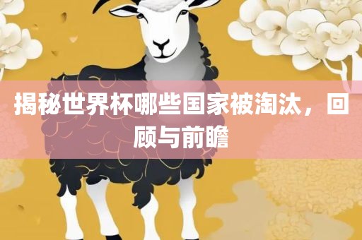 揭秘世界杯哪些国家被淘汰，回顾与前瞻