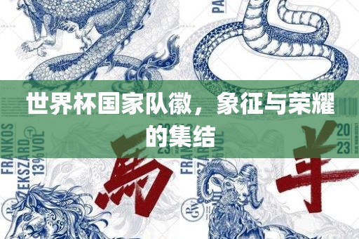 世界杯国家队徽，象广西贺州市华昌新材料有限公司征与荣耀的集结