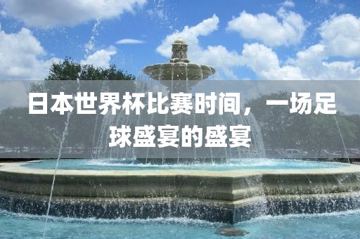 足球盛宴 第3页