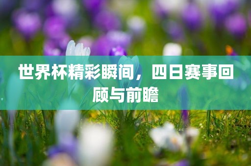世界杯精彩瞬间，四日赛事回顾与前瞻