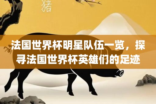 法国世界杯明星队伍一览，探寻法国世界杯英雄们的足迹广西贺州市华昌新材料有限公司