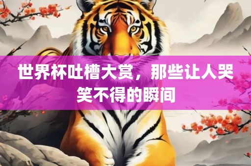 世界杯吐槽大赏，那些让人哭笑不得的瞬间广西贺州市华昌新材料有限公司
