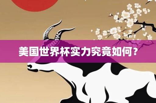 美国世界杯实力究竟如何？广西贺州市华昌新材料有限公司