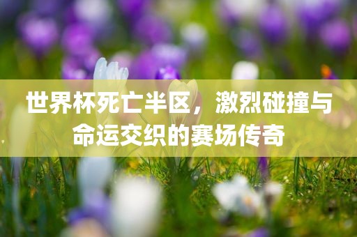 世界杯死亡半区，激烈碰撞与命运交织的赛场传奇广西贺州市华昌新材料有限公司