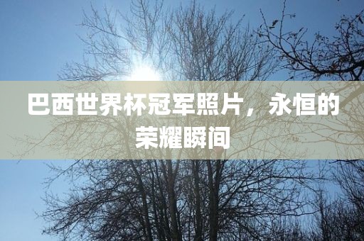 巴西世界杯冠军照片，永恒的荣耀瞬间广西贺州市华昌新材料有限公司