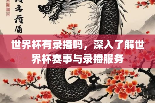 世界杯有录播吗，深入了解世界杯赛事与录播服务