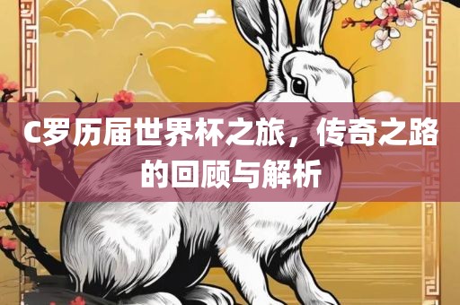 C罗历届世界杯之旅，传奇之路的回顾与解析广西贺州市华昌新材料有限公司
