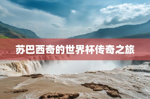 苏巴西奇的世界杯传奇之旅