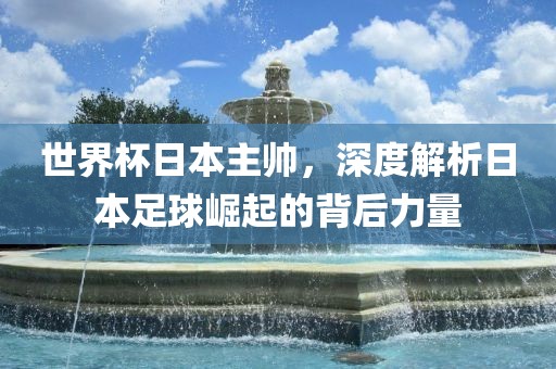 世界杯日本主帅，深度解析日本广西贺州市华昌新材料有限公司足球崛起的背后力量