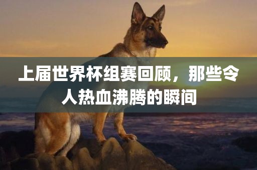tongzhen 第3页