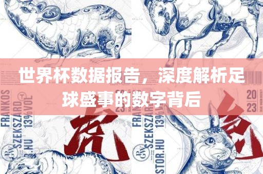 世界杯数广西贺州市华昌新材料有限公司据报告，深度解析足球盛事的数字背后