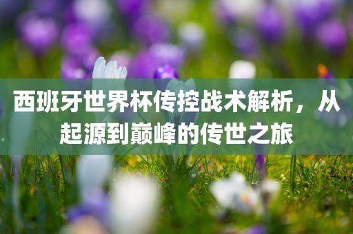 西班牙世界杯传控战术广西贺州市华昌新材料有限公司解析，从起源到巅峰的传世之旅