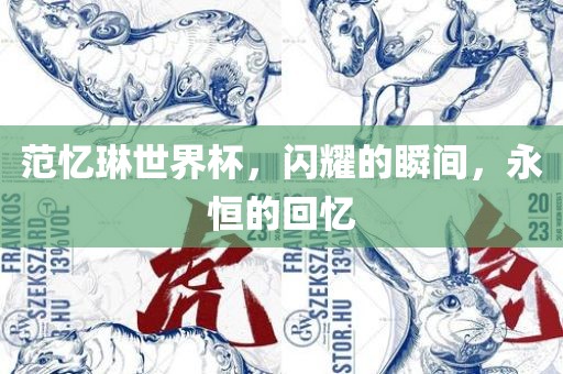 范忆琳世界杯，闪耀的瞬间，永恒的回忆广西贺州市华昌新材料有限公司