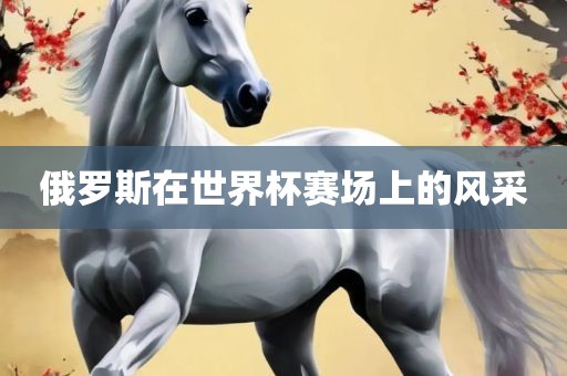 俄罗斯在世界杯赛场上的风采广西贺州市华昌新材料有限公司