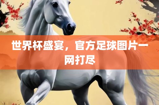 世界杯盛宴，官方足球图片一网打尽