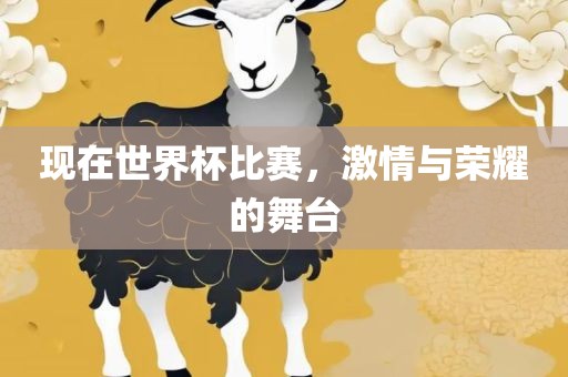 现在世界杯比赛，激情与荣耀的舞台广西贺州市华昌新材料有限公司