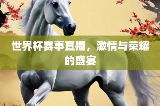 世界杯赛事直播，激情与荣耀的盛宴