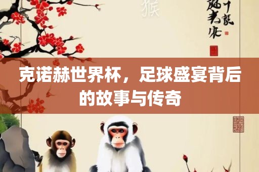 克诺赫世界杯，足球盛宴背后的故事与传奇广西贺州市华昌新材料有限公司