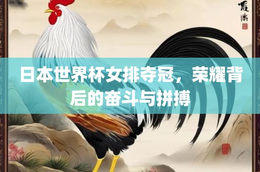 日本世界杯女排夺冠，荣耀背后的奋斗与拼搏广西贺州市华昌新材料有限公司