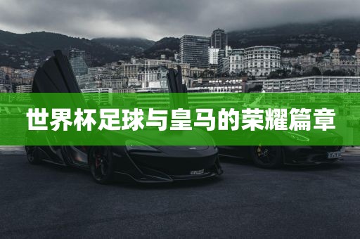 世界杯足球 第3页