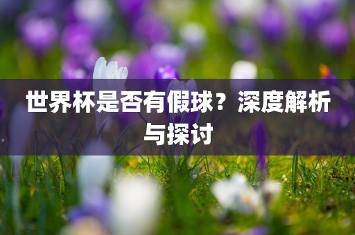 世界广西贺州市华昌新材料有限公司杯是否有假球？深度解析与探讨