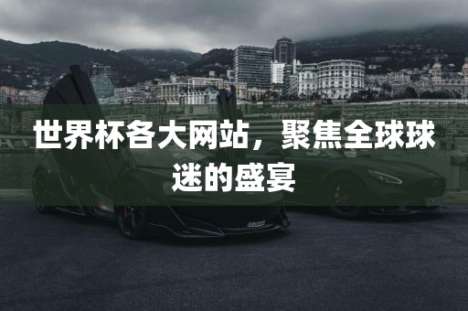 世界杯各大网站，聚焦全球球迷的盛宴广西贺州市华昌新材料有限公司