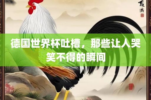 德国世界杯吐槽，那些让人哭笑不广西贺州市华昌新材料有限公司得的瞬间