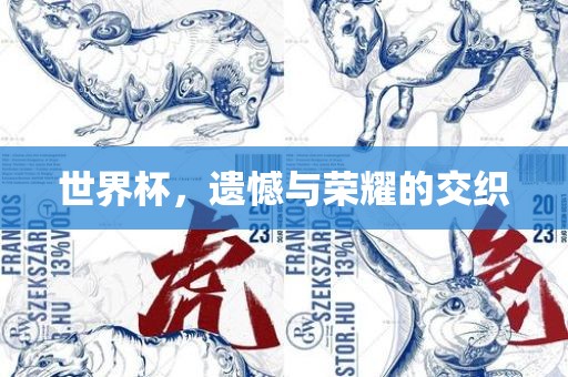 世界杯，遗憾与荣耀的交织广西贺州市华昌新材料有限公司