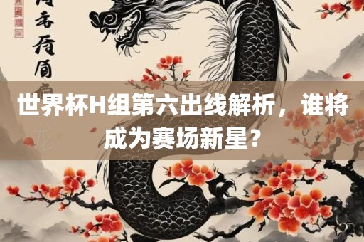 世界杯H组第六出线解析，谁将成为赛场新星？广西贺州市华昌新材料有限公司