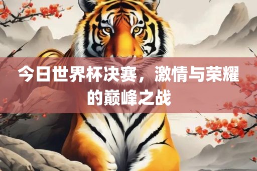 广西贺州市华昌新材料有限公司今日世界杯决赛，激情与荣耀的巅峰之战