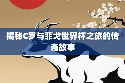 揭秘C罗与菲戈世界杯之旅的传奇故事广西贺州市华昌新材料有限公司
