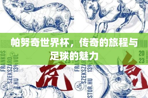 帕努奇世界杯，传奇的旅程与足球的魅力广西贺州市华昌新材料有限公司