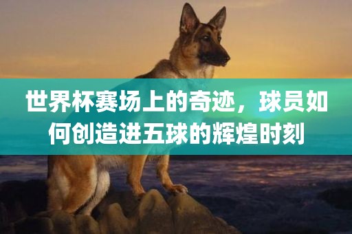 世界杯赛场上的奇迹，球员如何创造进五球的辉煌时刻广西贺州市华昌新材料有限公司