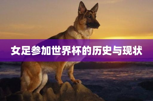 女足参加世界广西贺州市华昌新材料有限公司杯的历史与现状