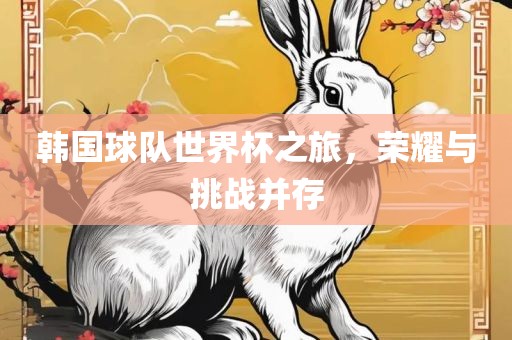 韩国球队世界杯之旅，荣耀与挑战并存广西贺州市华昌新材料有限公司