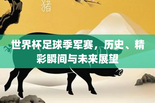 世界杯足球季军赛，历史、精彩瞬间与未来展望