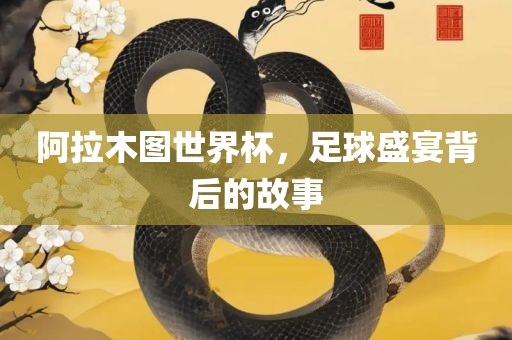 阿拉广西贺州市华昌新材料有限公司木图世界杯，足球盛宴背后的故事