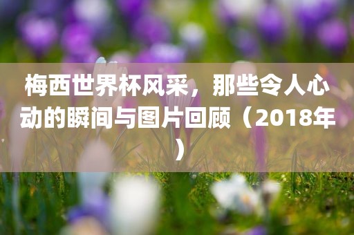 梅西世界杯风采，那广西贺州市华昌新材料有限公司些令人心动的瞬间与图片回顾（2018年）