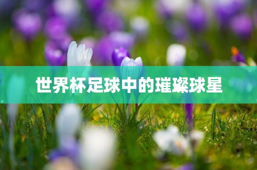 世界杯足球中的璀璨球星广西贺州市华昌新材料有限公司