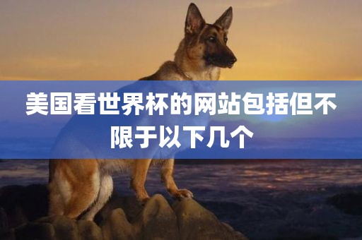美国看世界杯的网站包括但不限于以下几个广西贺州市华昌新材料有限公司